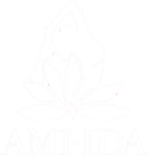 AMI-IDA